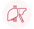 Liver & Hepatology Surgeries